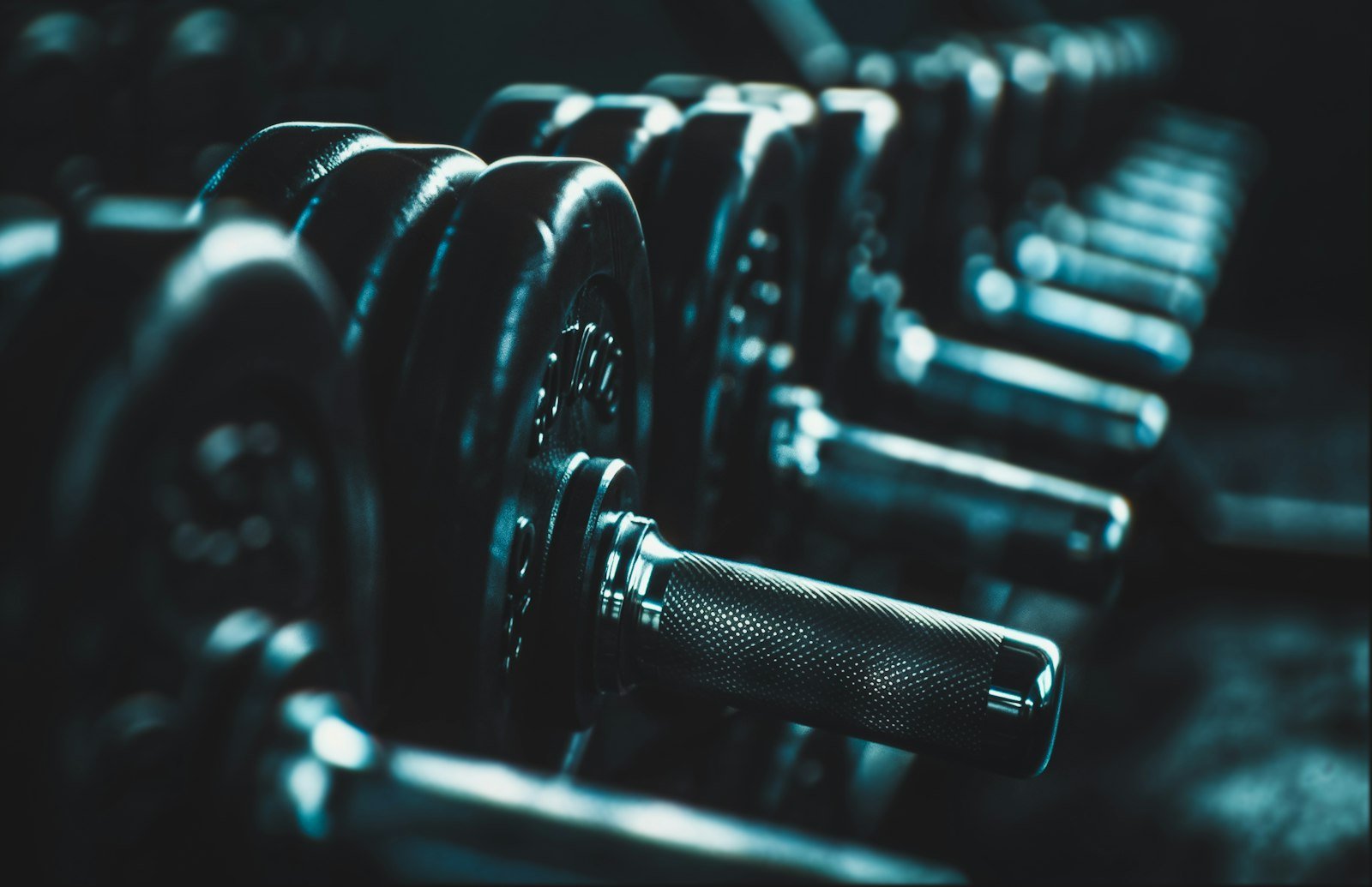 Row of black dumbbells lined up on a rack in an exercise gym, lit in cool blue tones
